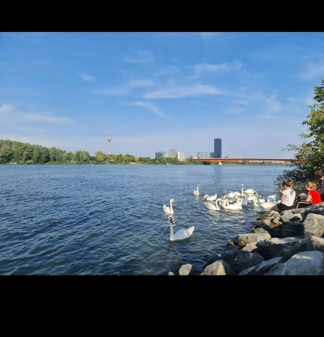 Apartment Schoene Altbauwohnung Wien Zentrum Brigittenauer Laende 32 Austria