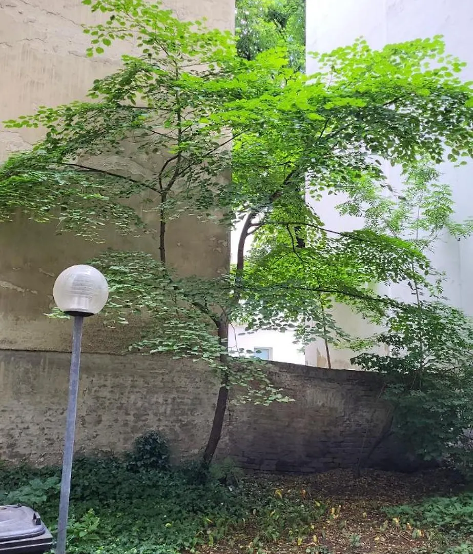 Apartment Schoene Altbauwohnung Wien Zentrum Brigittenauer Laende 32 Austria